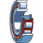 SKF Cilinderlager R 313824